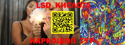 прущие грибы Рыбинск