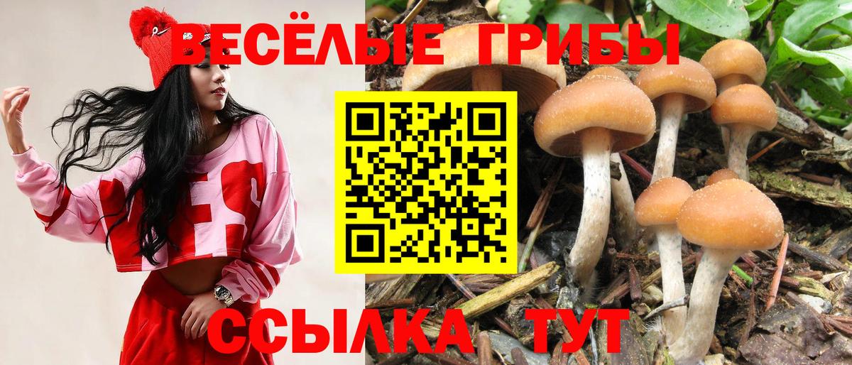 Псилоцибиновые грибы мухоморы Симферополь